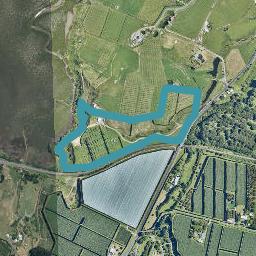 129 PAHOIA ROAD, Whakamarama, Western Bay Of Plenty