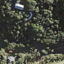 15 Tasman View Road, Te Henga / Bethells Beach