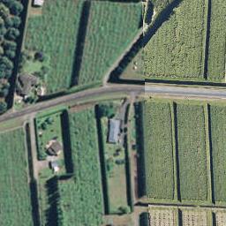 63 Rea Road, Tahawai, Katikati
