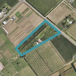 63 Bushmere Road, Gisborne