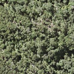 0 Bon Accord Harbour, Kawau Island, Kawau Island
