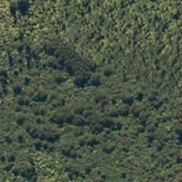 0 State Highway 6, Paringa, Haast