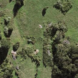 21 Seasons Way, Schnapper Rock, Auckland
