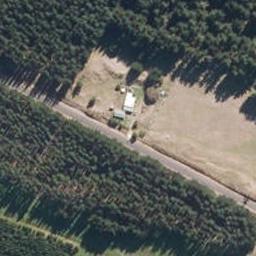 612 Brandon Hall Road, Bulls