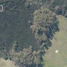 0 Tohanga Road, Lake Ohia
