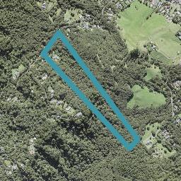 64 Opanuku Road, Henderson Valley, Auckland