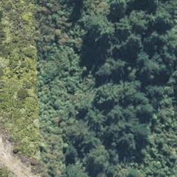 296 Tamarangi Drive, PUTAUAKI, KAWERAU
