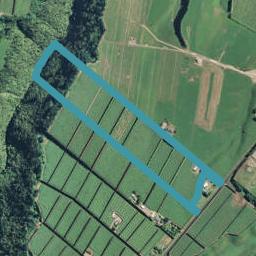 696 Te Matai Road, Te Puke, Te Puke