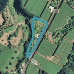 614 No 1 Road, Te Puke, Te Puke