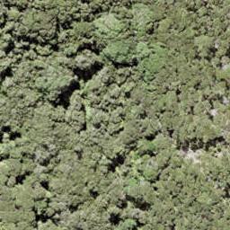 0 North Cove, Kawau Island, Kawau Island