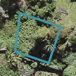 38D Finch Street, Morningside, Auckland