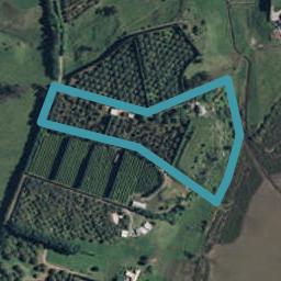 252D Kauri Point Road, Tahawai, Tahawai