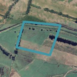 1613 Thornton Road, MATATA