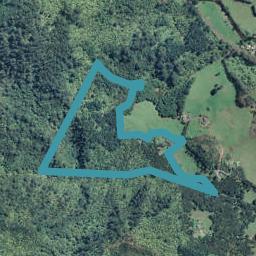 313 Woodland Road, Tahawai, Katikati