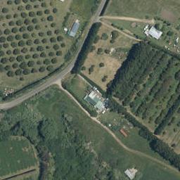 162 Opureora Road, Matakana Island, Matakana Island