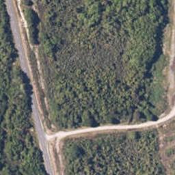 1191 Arnold Valley Road, Dobson