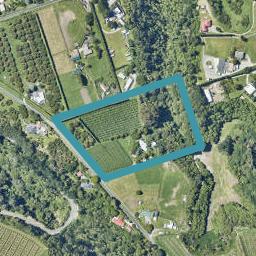 62 Merrick Road, Pyes Pa, Tauranga