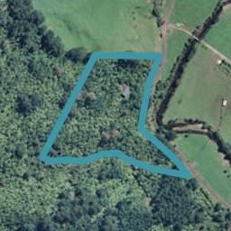 433 Woodland Road, Tahawai, Katikati