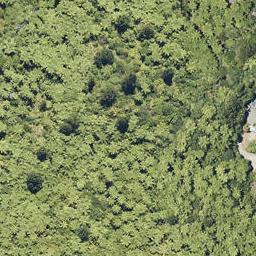 255 State Highway 30, LAKE ROTOMA, ROTORUA