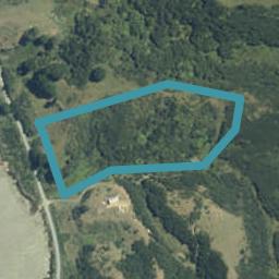 1181 Te Papatapu Road, Makomako