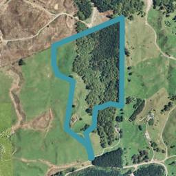 181 Mangatoi Road, Oropi, Tauranga
