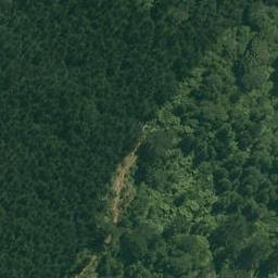 0 Rocky Cutting Road, Waitao, Tauranga