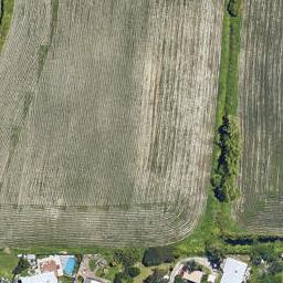 0 Seddon Street, Te Puke, TE PUKE