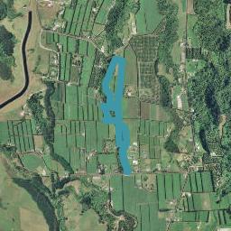 0 Dyer Strait, Omanawa, TAURANGA