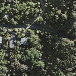 57 Tasman View Road, Te Henga / Bethells Beach