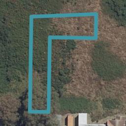 1 Gecko Lane, Hamilton Lake, Hamilton
