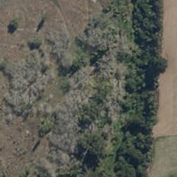 0 Pryces Line, Halcombe, Halcombe