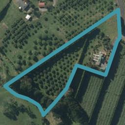 200 Old Highway, Whakamarama, Tauranga