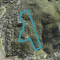53 Garden Road, Piha, Piha