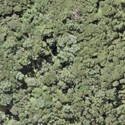 0 Bon Accord Harbour, Kawau Island, Kawau Island