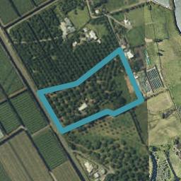 90 Capamagian Drive, Athenree, Katikati