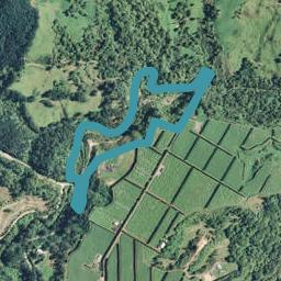1240B No 3 Road, Te Puke, Te Puke
