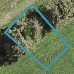 7 Tuwai Crescent, OPAHEKE