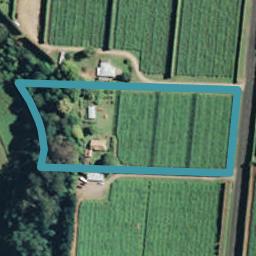 114 Te Matai Road, Te Puke, Te Puke