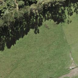 199 Henwood Road, Westgate, Auckland