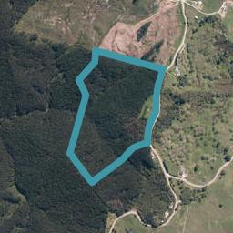 786 Bickerstaffe Road, Maungaturoto