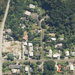 6 Punga Grove, Lake Kaniere, Hokitika