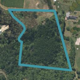 19 Flax Creek Way, Minden, Minden