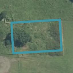 23 Rimu Street, Āria