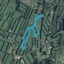 620 State Highway 2, Tahawai, Katikati