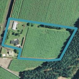 383A No 2 Road, Te Puke, Te Puke