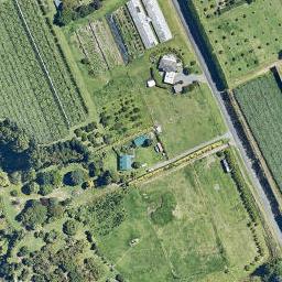25 Prole Road, Omokoroa, Tauranga