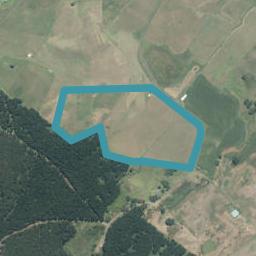 86 Forestry Road, OTAUA, Otaua
