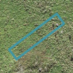 16 Porowha Road, Westgate, Auckland