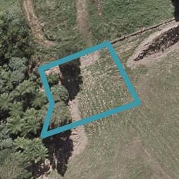 47 Sycamore Grove, Lower Vogeltown, New Plymouth