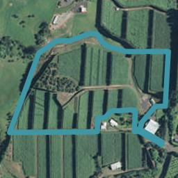 38A Canon Road, Tanners Point, Tahawai